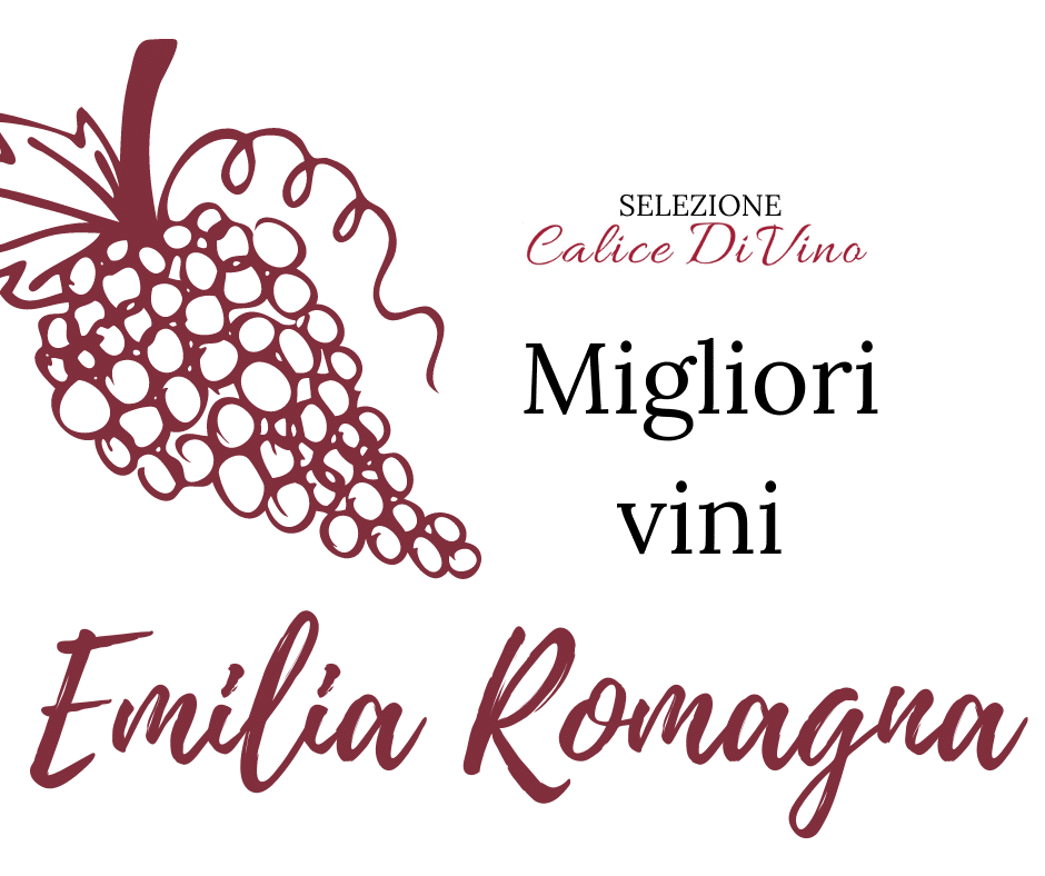 I Migliori Vini Dell Emilia Romagna I Vini Doc I Vini Docg E I Vini